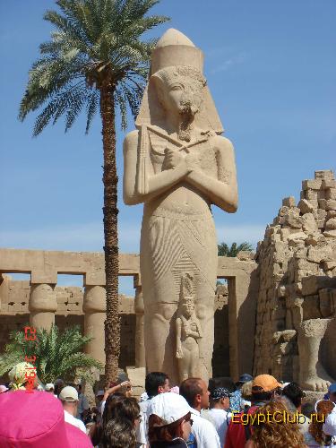 � ���������� �����