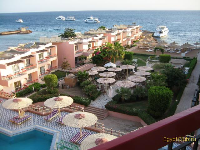 ��� �� ������