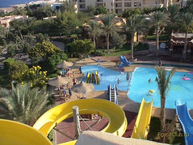 ��� ������