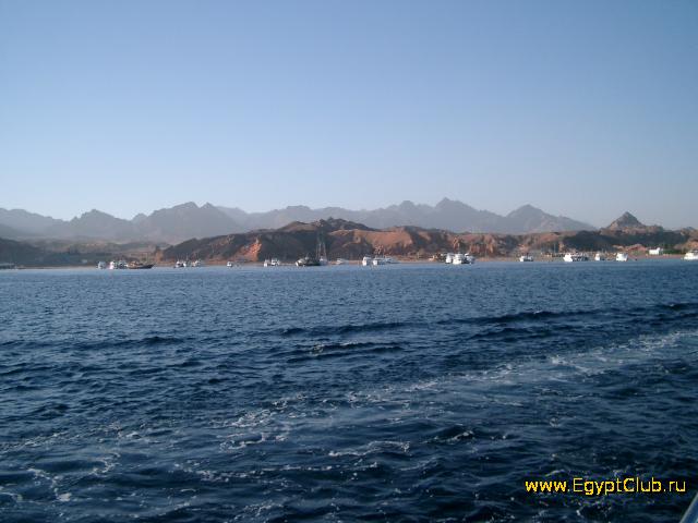 ������ � ����� ����-���-�����