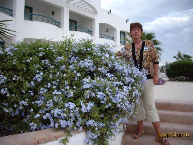 ���������� �����