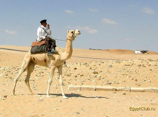 � ������