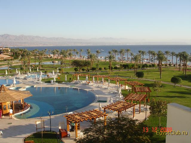 ��� ����������