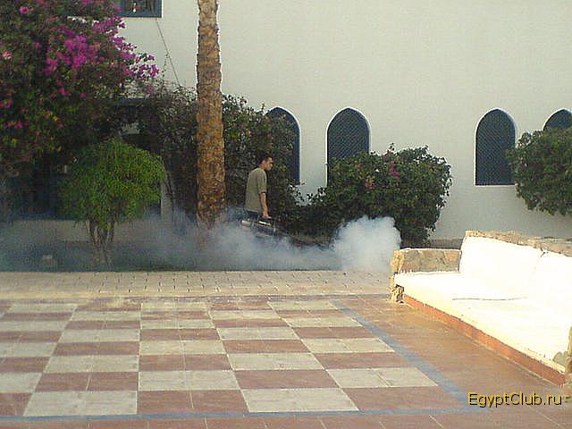 ������ �������