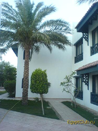 ��� ������ �����