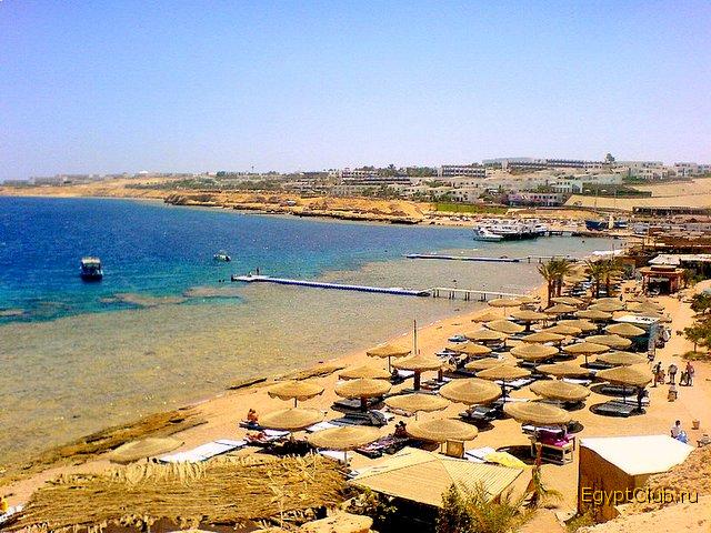 ��� ���� ������