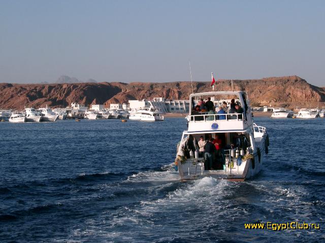 ������ � ����� ����-���-�����