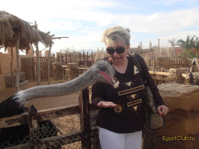 ������ ������...!!