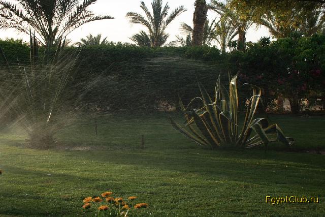 ��� ������� �����...