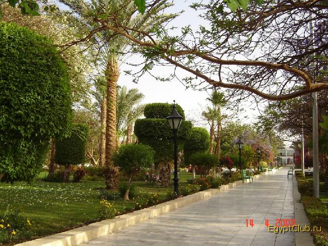 ����� � ����� �����