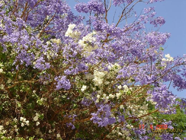 ����� � ����� �����