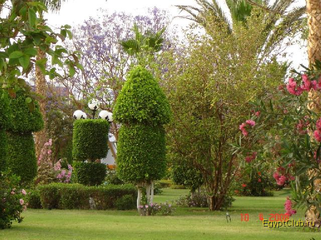 ����� � ����� �����