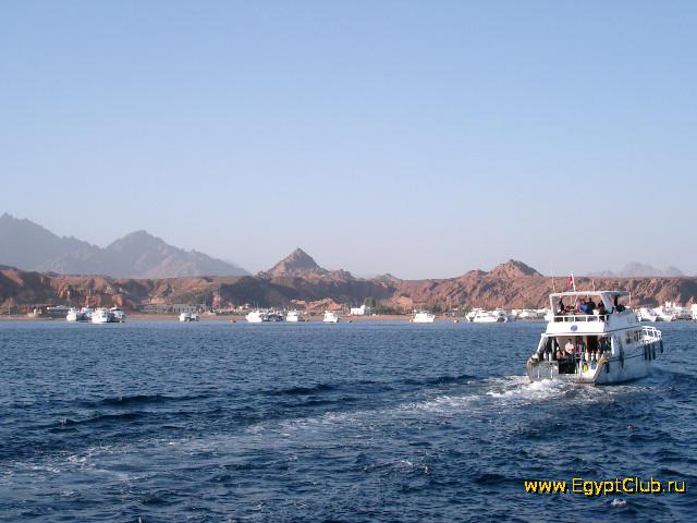 ������ � ����� ����-���-�����