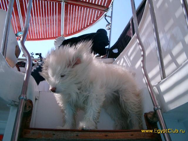 ������� �� �������