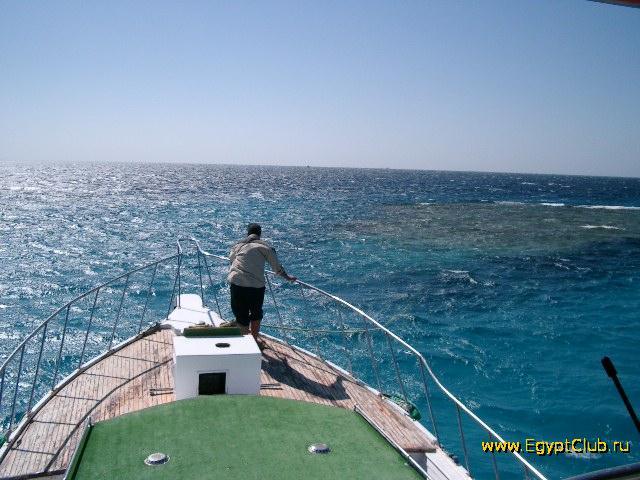 ������������ ����...