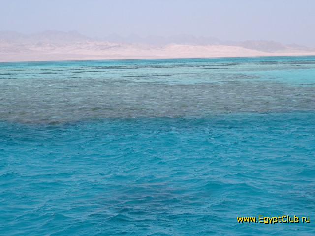 ���� � ����