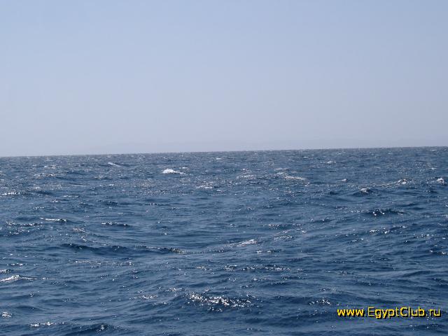 ���� ���������, ���, ...