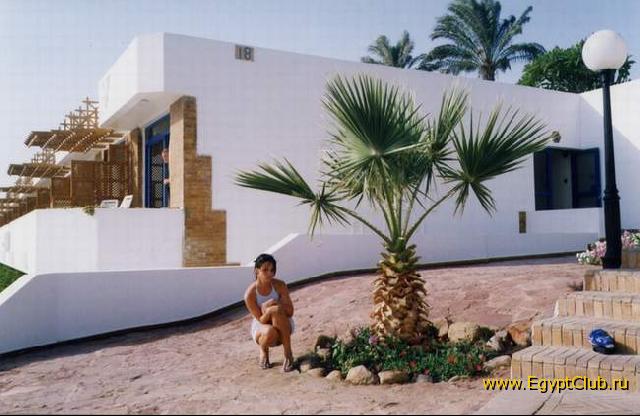 ���� �������