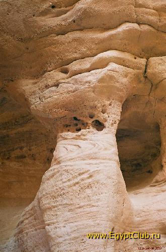 T-Rex - ������� ������