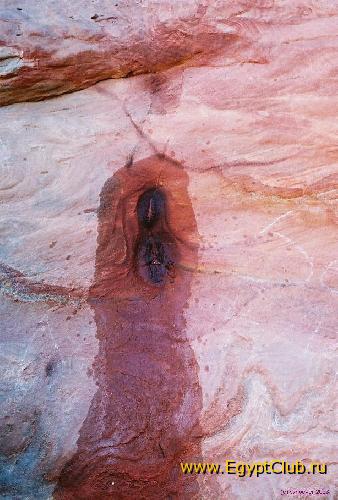 ���� �������-������� ������