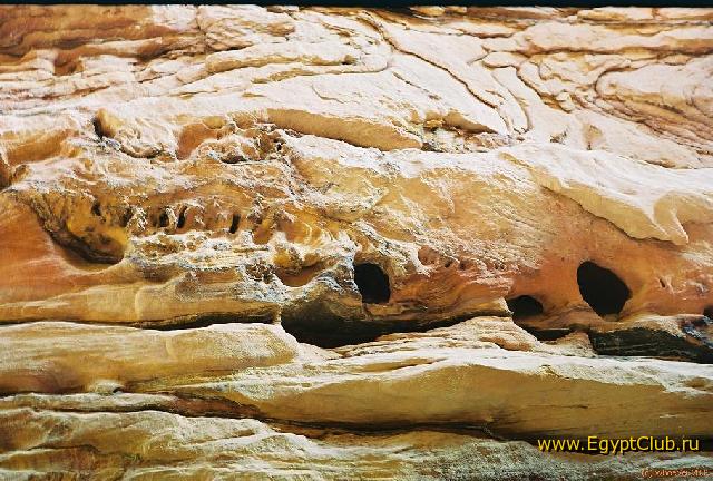 ���������� ������ � ����� - ������� ������