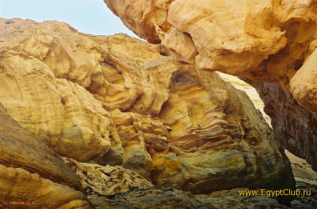 ������� - ������� ������