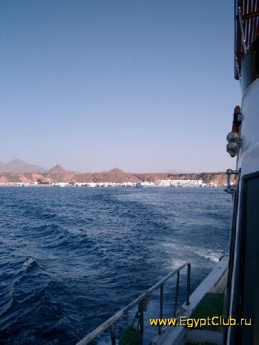 � ����� ������