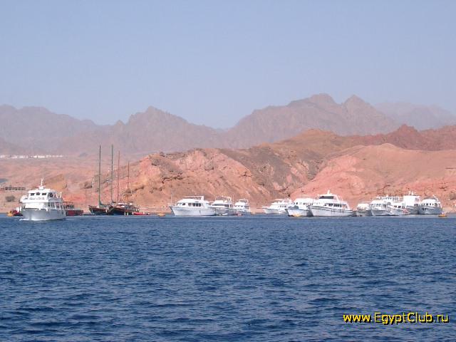 ����� � ����-���-�����