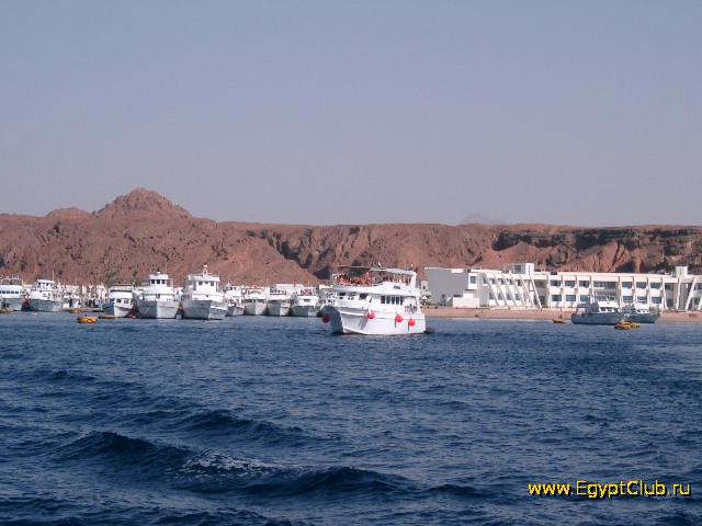 ������ � ����-���-�����