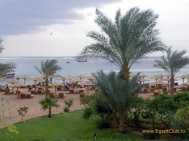 ���� ����� �������� � �����