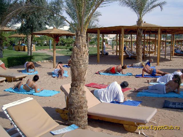 ���� ����� �������� � �����