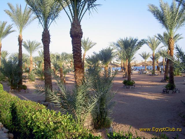 ���� ����� Hilton Fayrouz