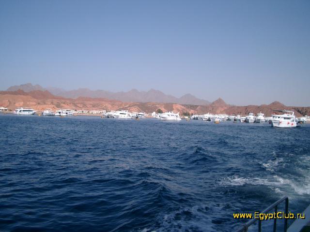 ��� �� ��������� ����������