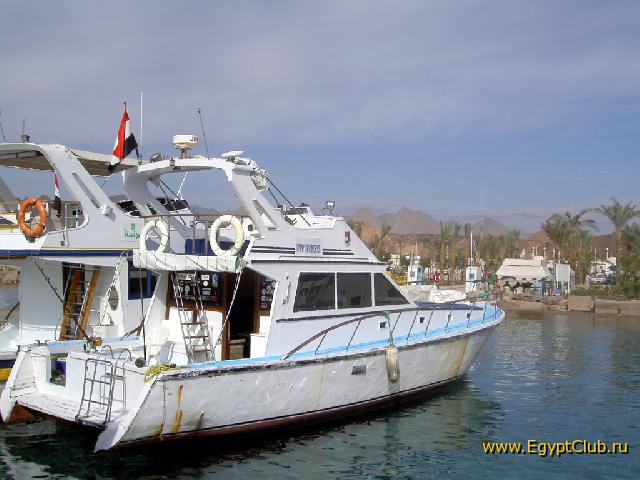 � ����� ������� �����