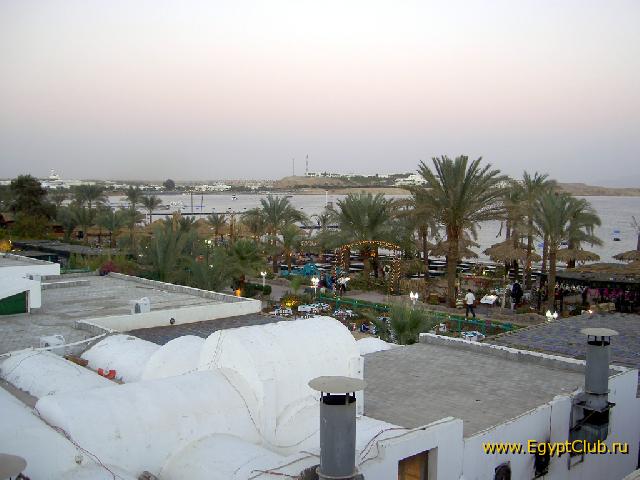 ����� � �����