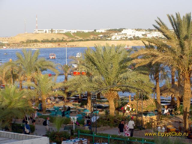 ��� �� ����� �� ����. ���-���