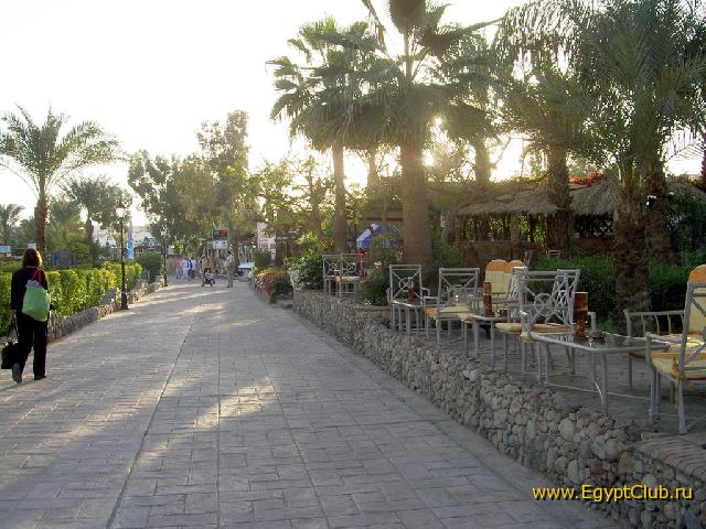 �������� � �����