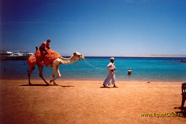 ������� � ������� ������� ��� ����?!!