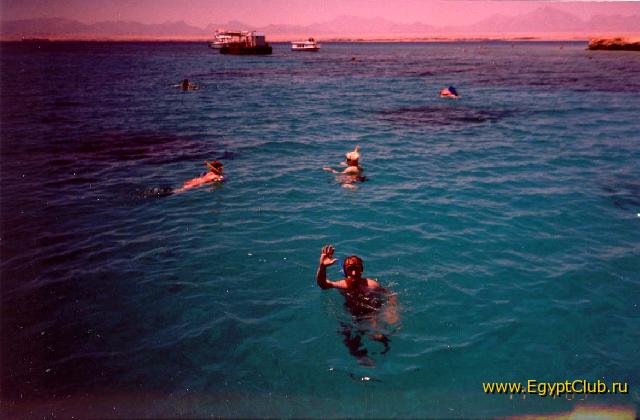 ������ �� �������� ����