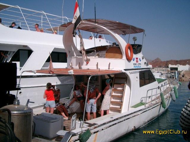 ���� ����