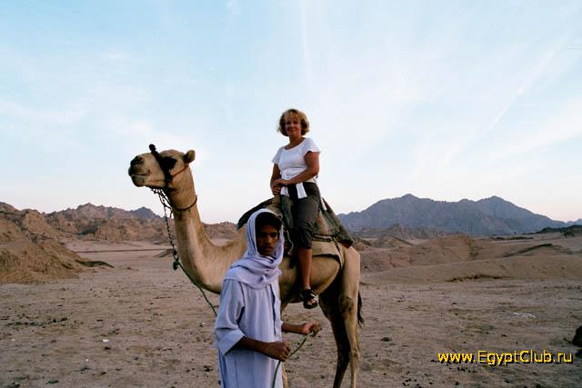 ����������� �� ���������