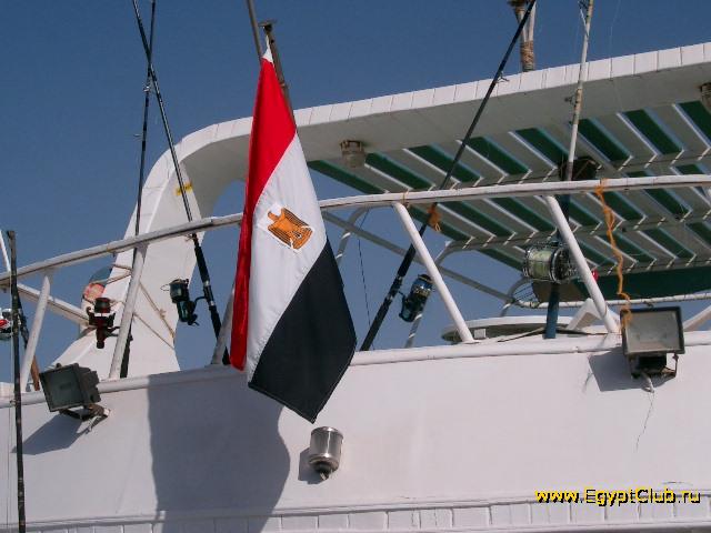 ���� ������