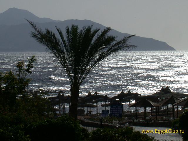 ����� ������� ������