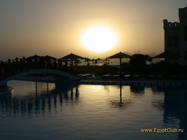 ������  ������ ������