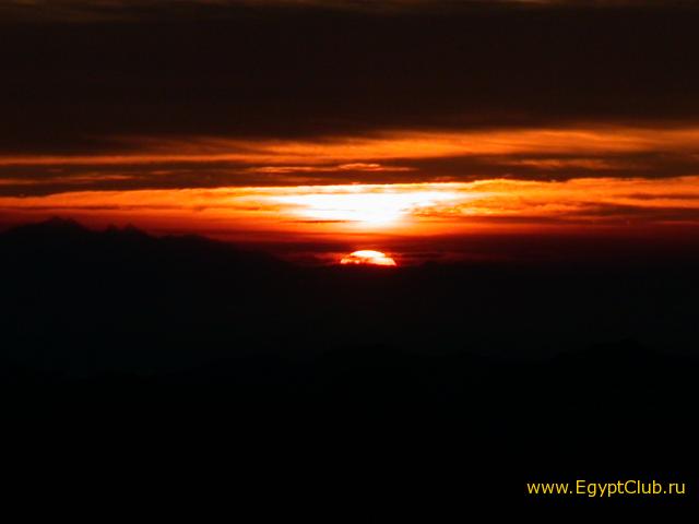 ������ �� ���� ������