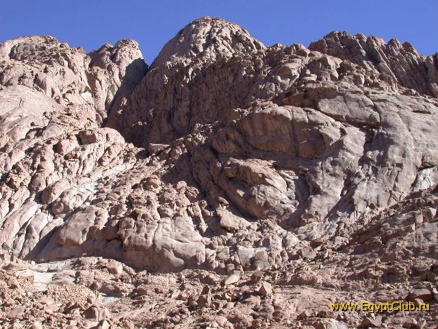 ���� ������