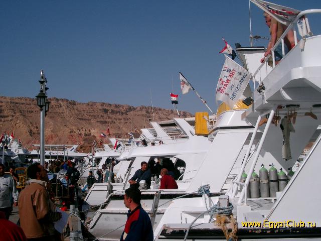 ������ � ����� ����-���-�����