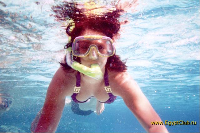 ����������