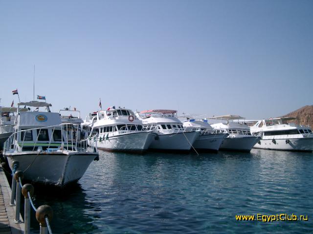 ������ � ����� ����-���-�����