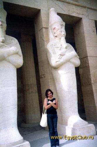 ���� ���������